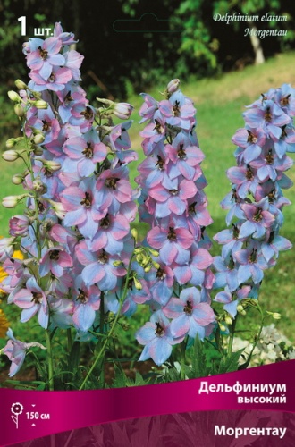 Корневище Дельфиниум высокий Моргентау 1 шт Поиск 