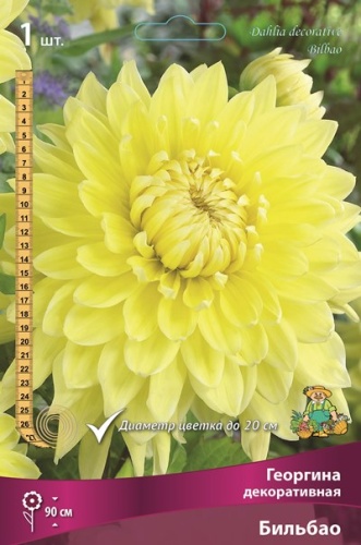 Клубень Георгина декоративная Бильбао I 1шт Поиск 