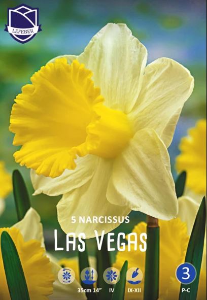 Луковица Нарцисс Лас Вегас 12-14, 5 шт/уп 