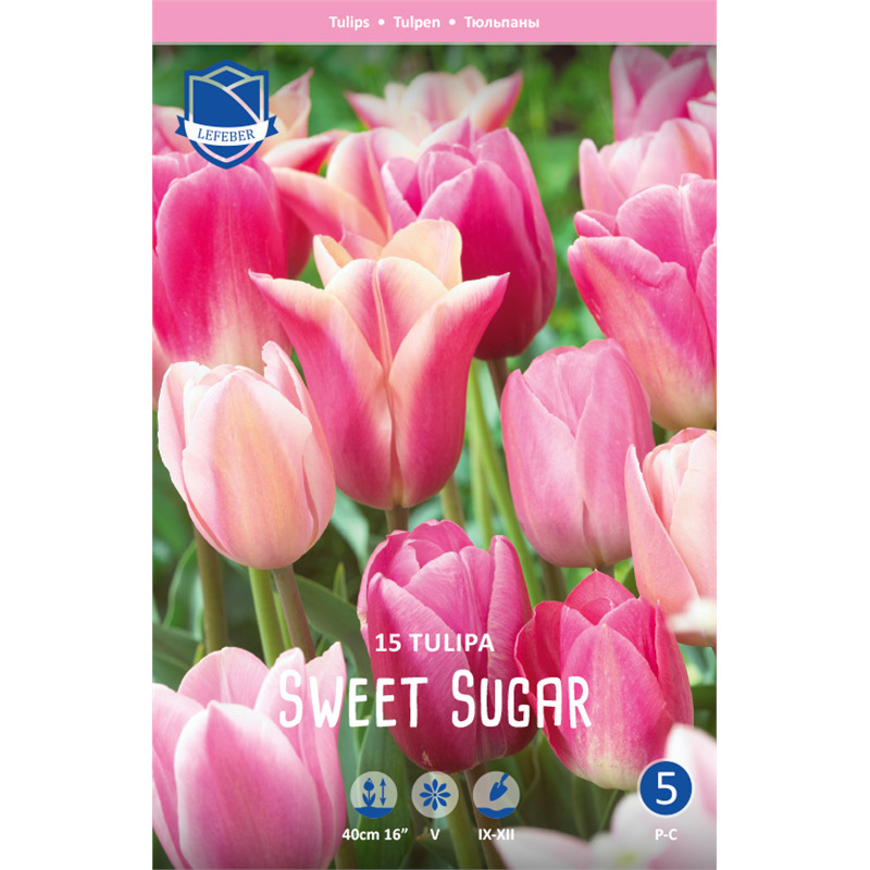 Луковица Тюльпан Свит Шуга смесь 11/12, 15 шт/уп 