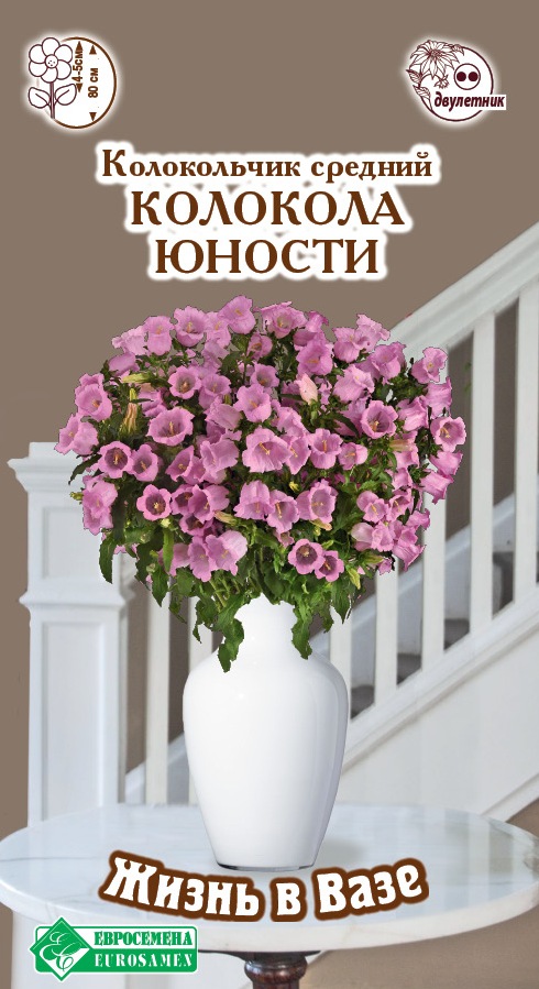 ОсновноеИзображение