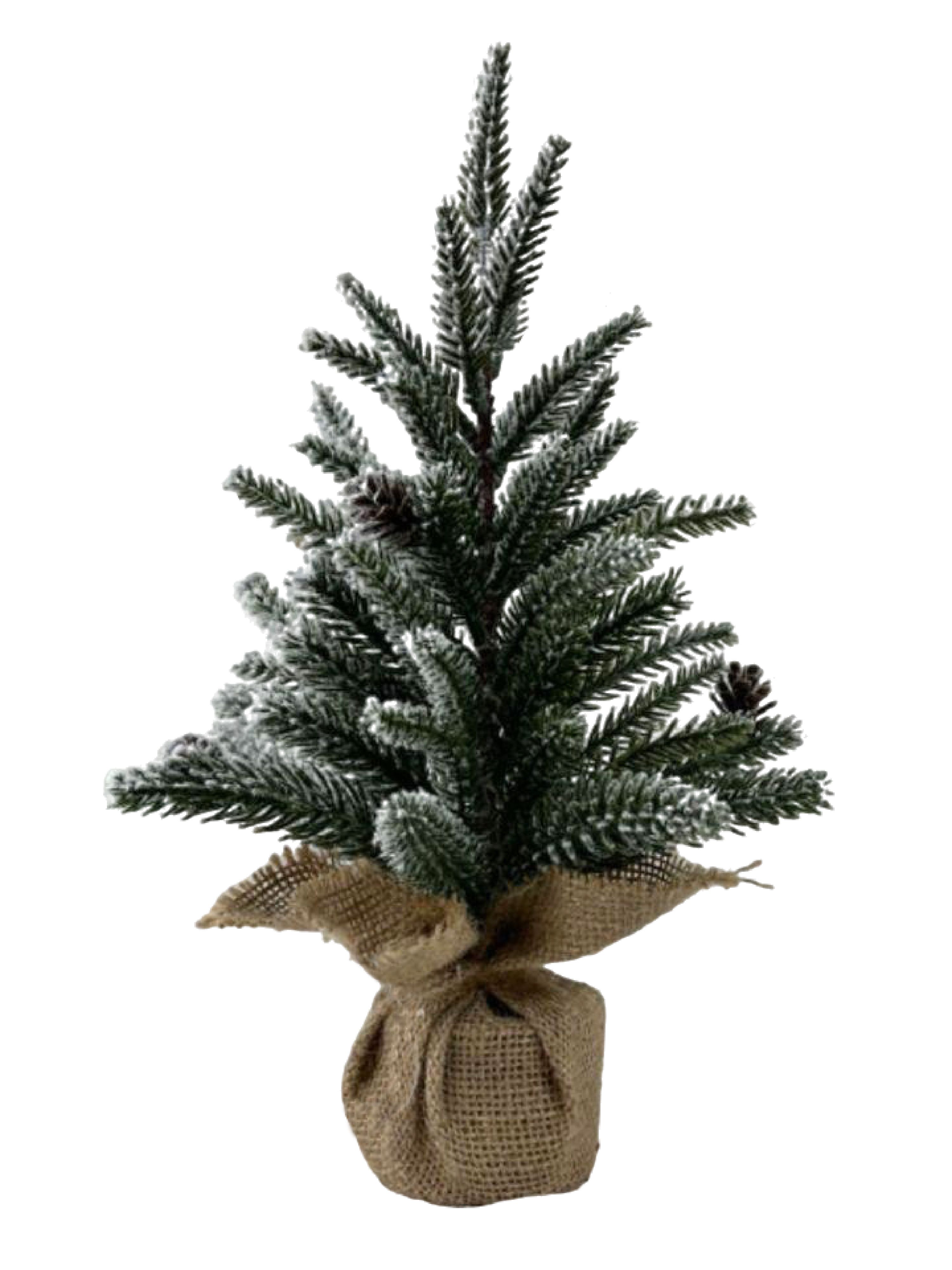 ОсновноеИзображение