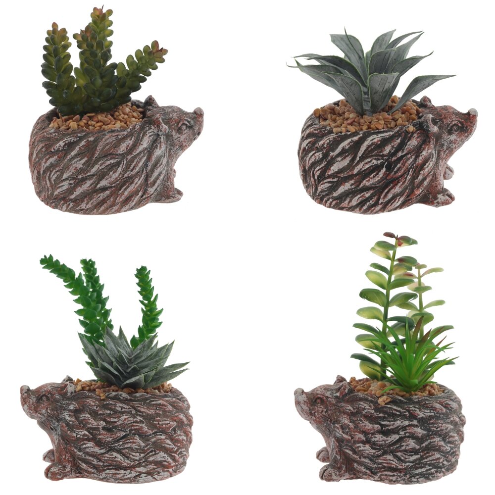 Композиция цветочная Суккулент 4х12х12см 4в. арт.814265 по цене 