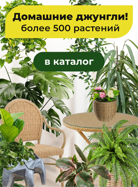 Комнатные цветы - создайте городские джунгли!