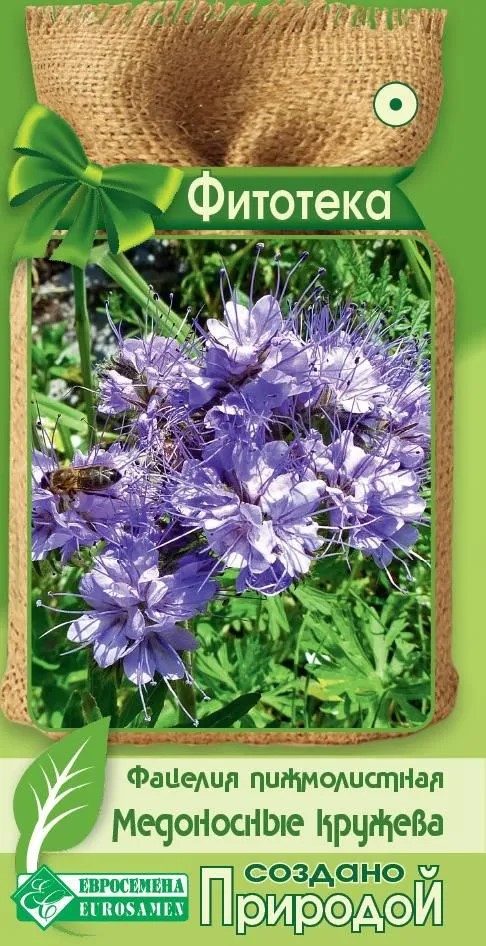 ОсновноеИзображение