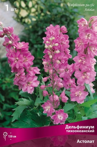 Кореневище Дельфиниум тихоокеанский Астолат 1шт Поиск 