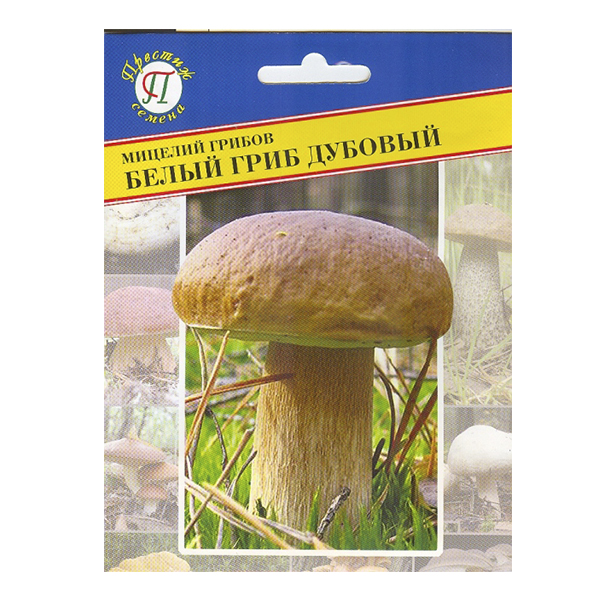 Мицелий Белый гриб дубовый 50 мл Престиж 