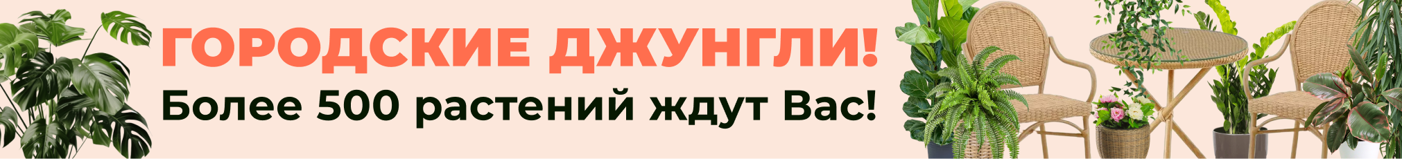 Комнатные цветы - создайте городские джунгли!