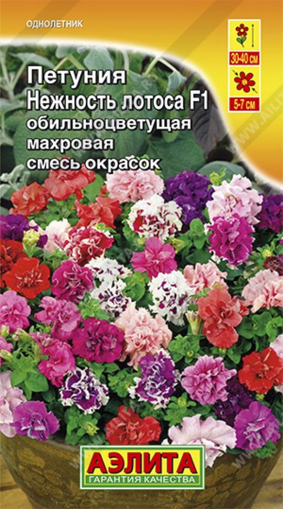 Семена Петуния Нежность лотоса F1 обильноцветущая махровая, смесь окрасок 10 шт Аэлита 