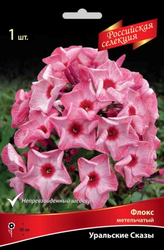Корневище Флокс метельчатый Российская селекция Уральские Сказы 1шт Поиск 