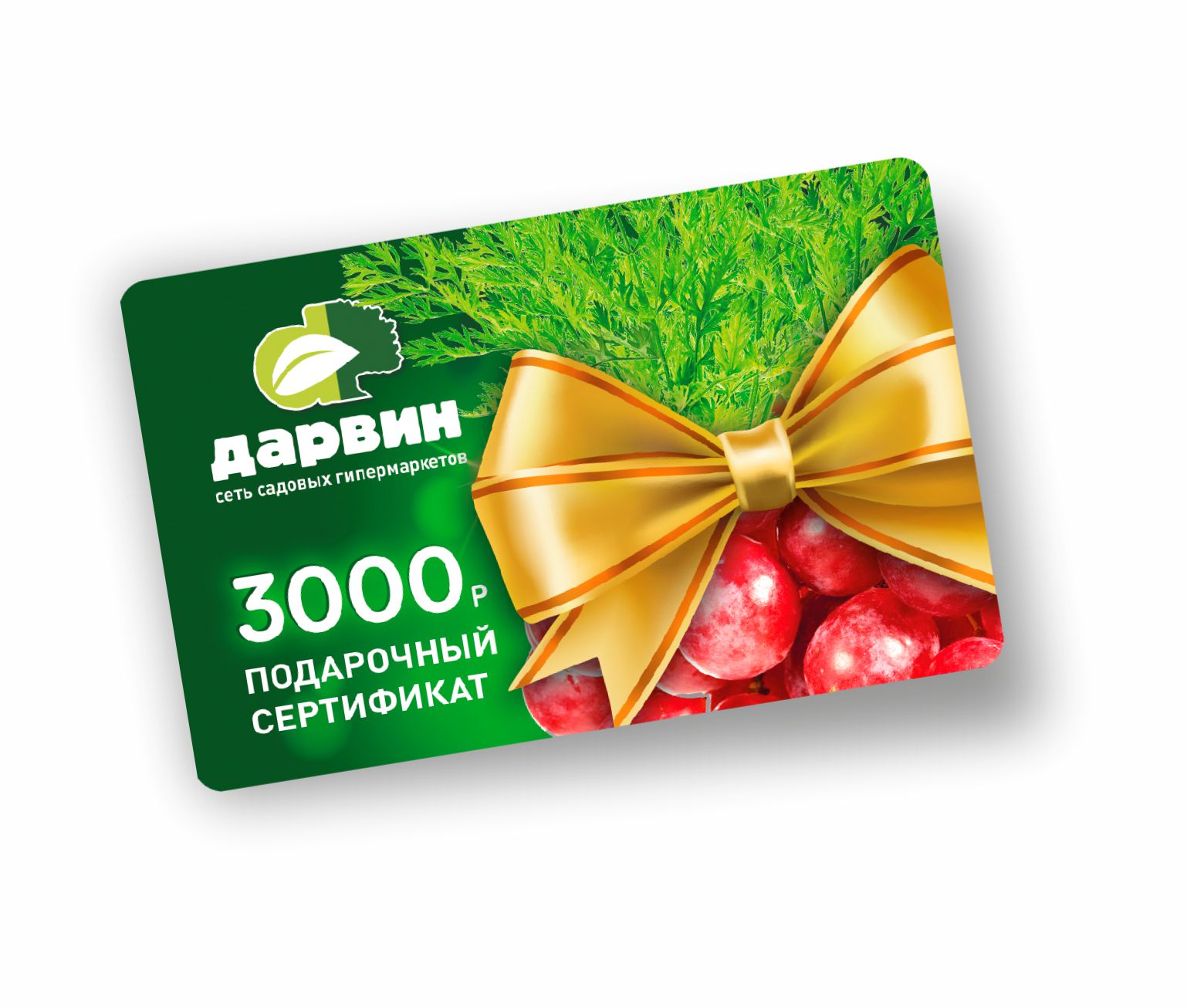 Подарочный сертификат 3000 руб. по цене 