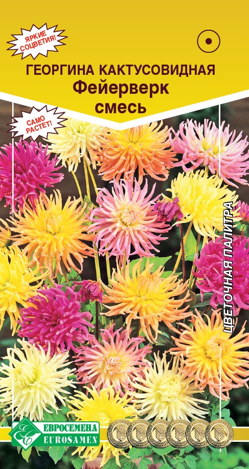 Семена Георгина Кактусовидная фейерверк смесь 0,2 гр Евросемена 