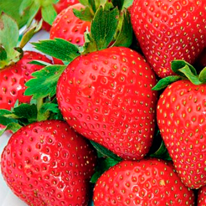 Основное изображение