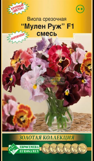 ОсновноеИзображение