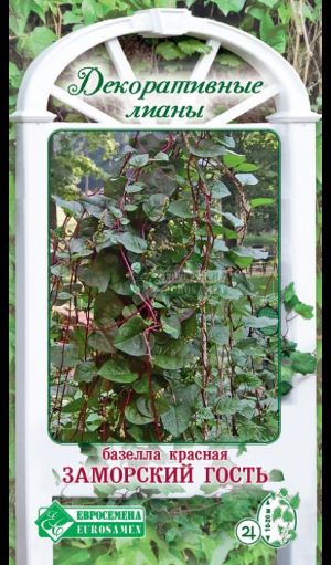 ОсновноеИзображение