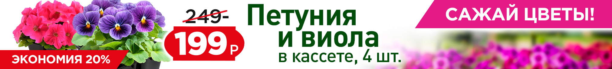 Рассада цветов