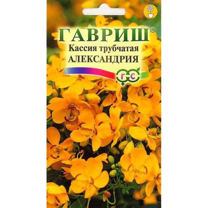 Семена кассия Александрия, трубчатая 3шт Гавриш 