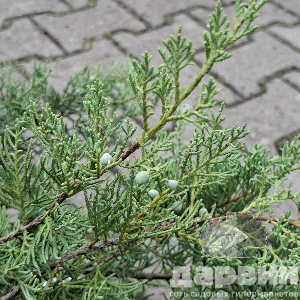 Изображение 4