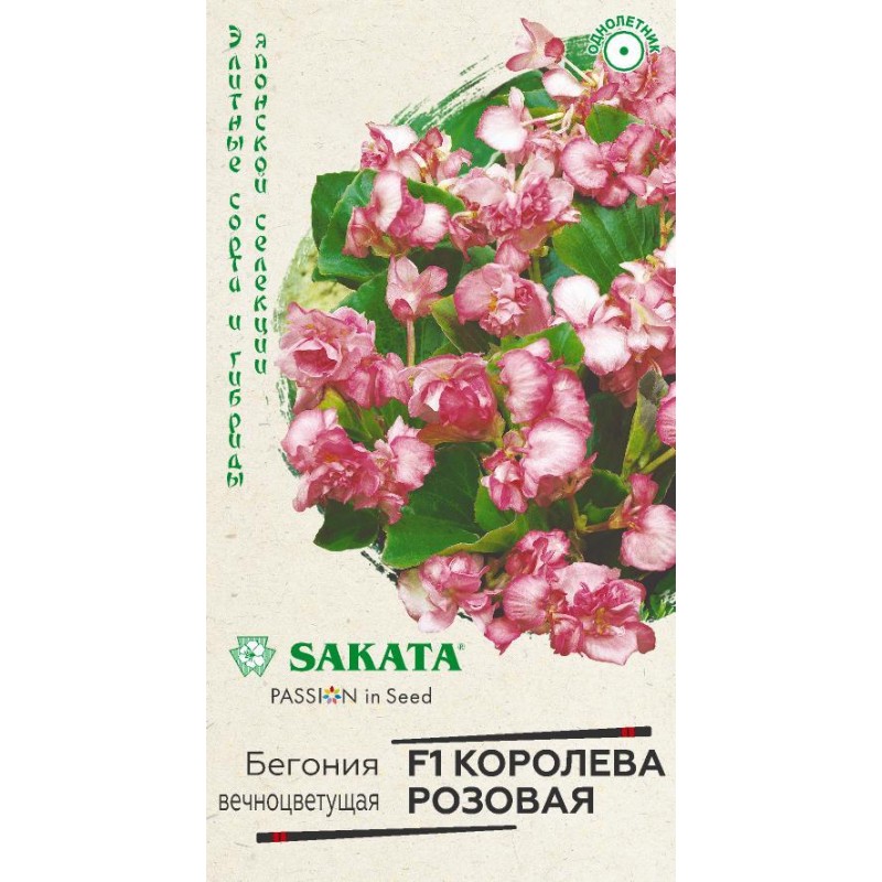 Семена Бегония Королева розовая F1 вечноцв.  4 шт. пробирка Гавриш 