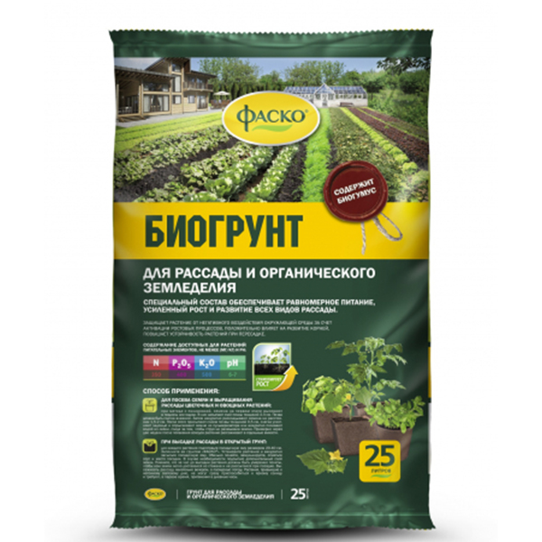 Основное изображение