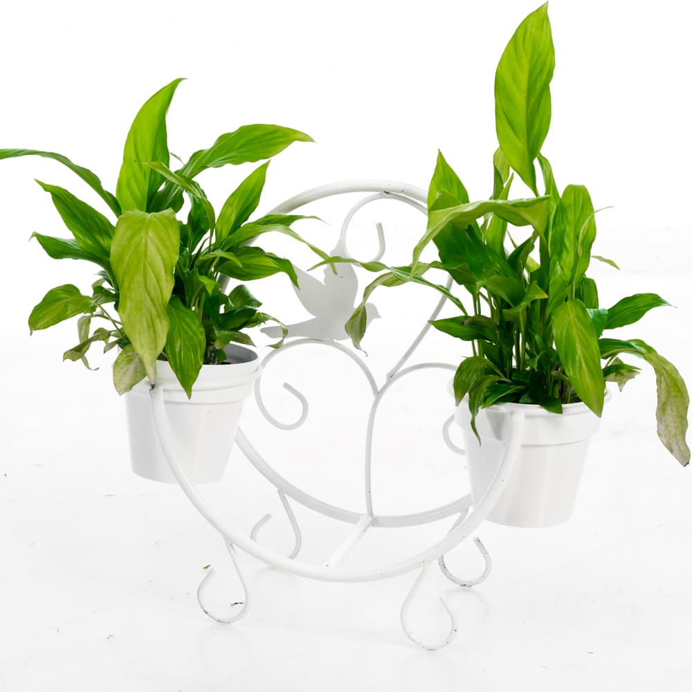 Подставка для цветов на подоконник на 2 цветка из трубки белый 33х14х39см, металл арт.41-002W по цене 