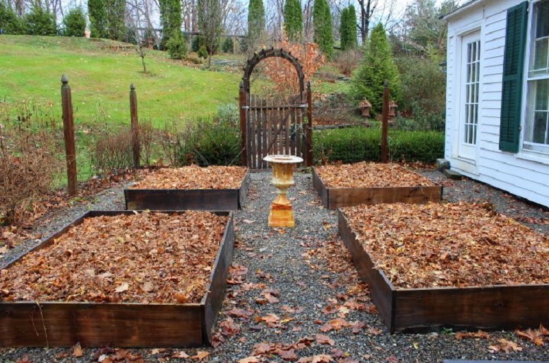 Подготовьте грядки к зиме 