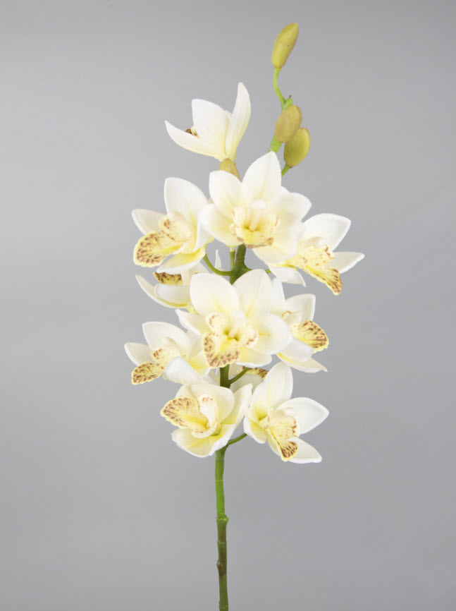 Цветок искусственный Орхидея Цимбидиум 75см, белый по цене 