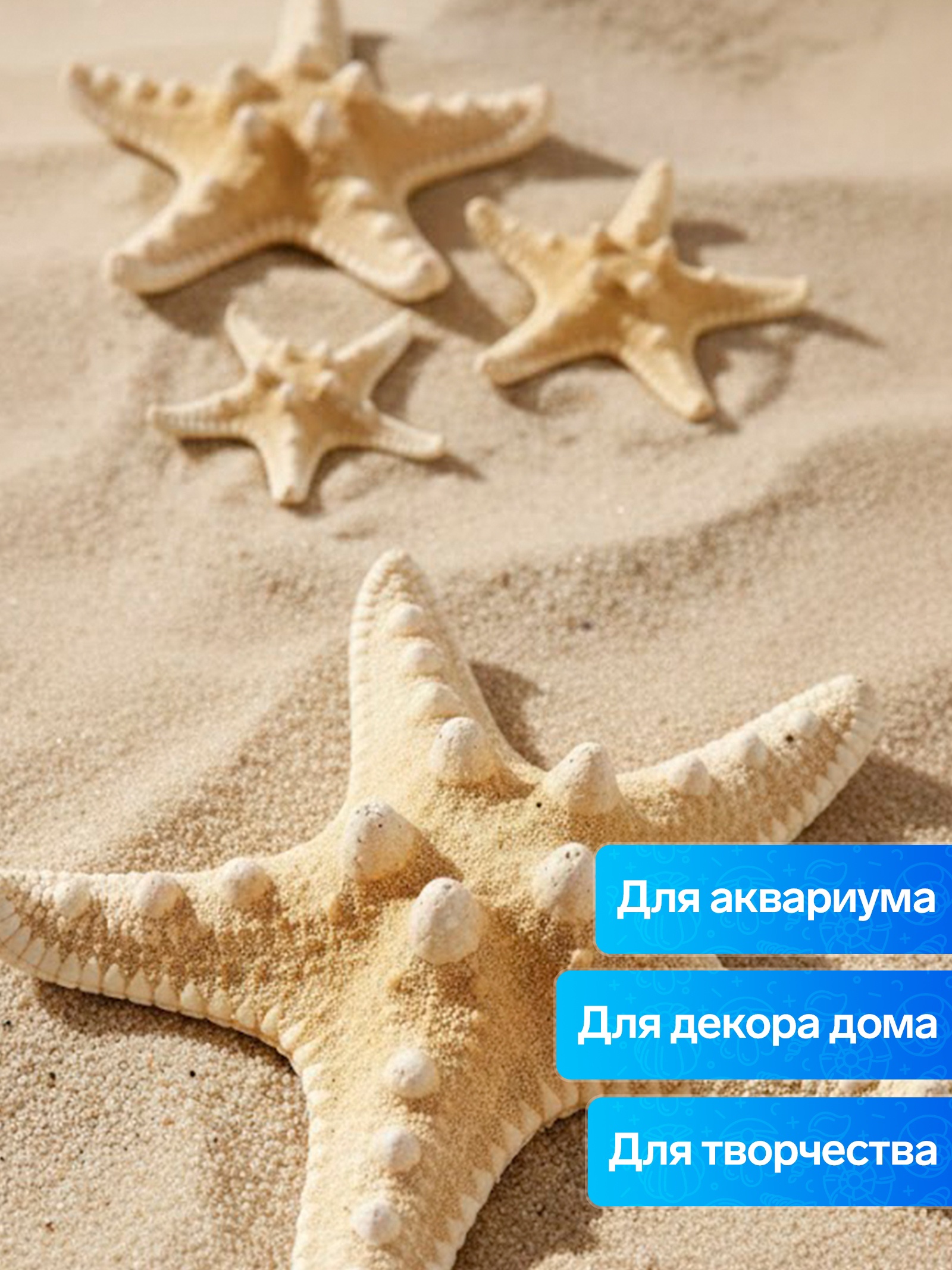 Набор из 3-х морских звезд 5-7см, 7-10 см, 10-12см, белый арт.10940175 по цене 
