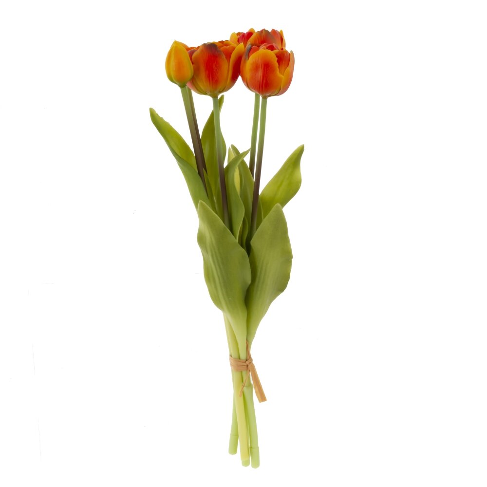 ОсновноеИзображение