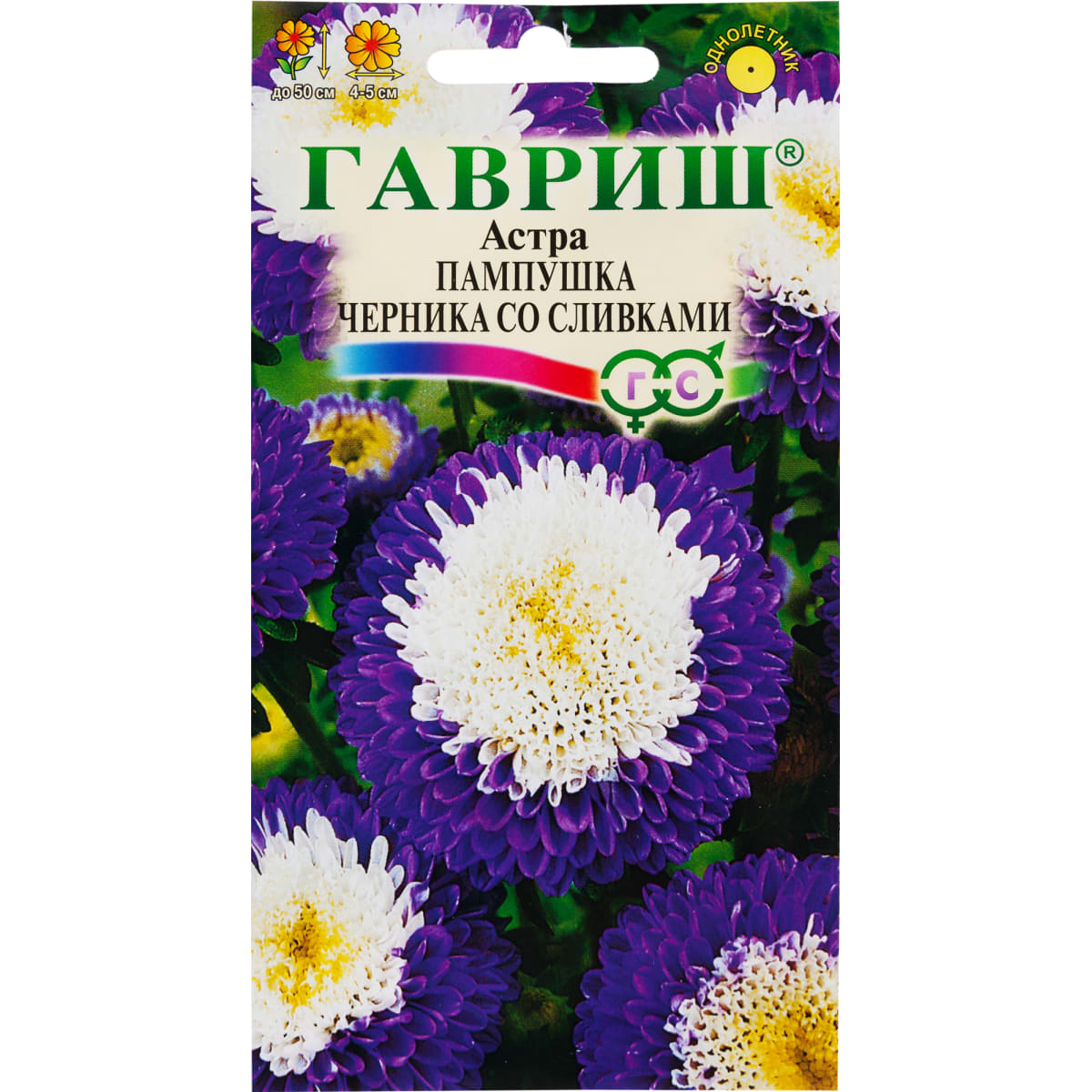 Семена астра Пампушка черника со сливками, однолетняя помпонная 0,3г Гавриш 