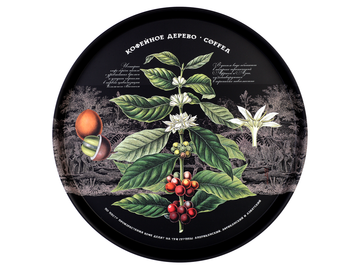 Поднос Кофейное дерево 33х2,1см, металл арт.PD092 по цене 
