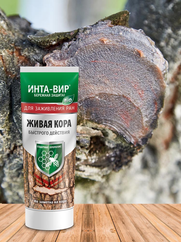 Изображение 8