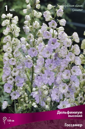 Кореневище Дельфиниум высокий Госсамер 1шт Поиск 