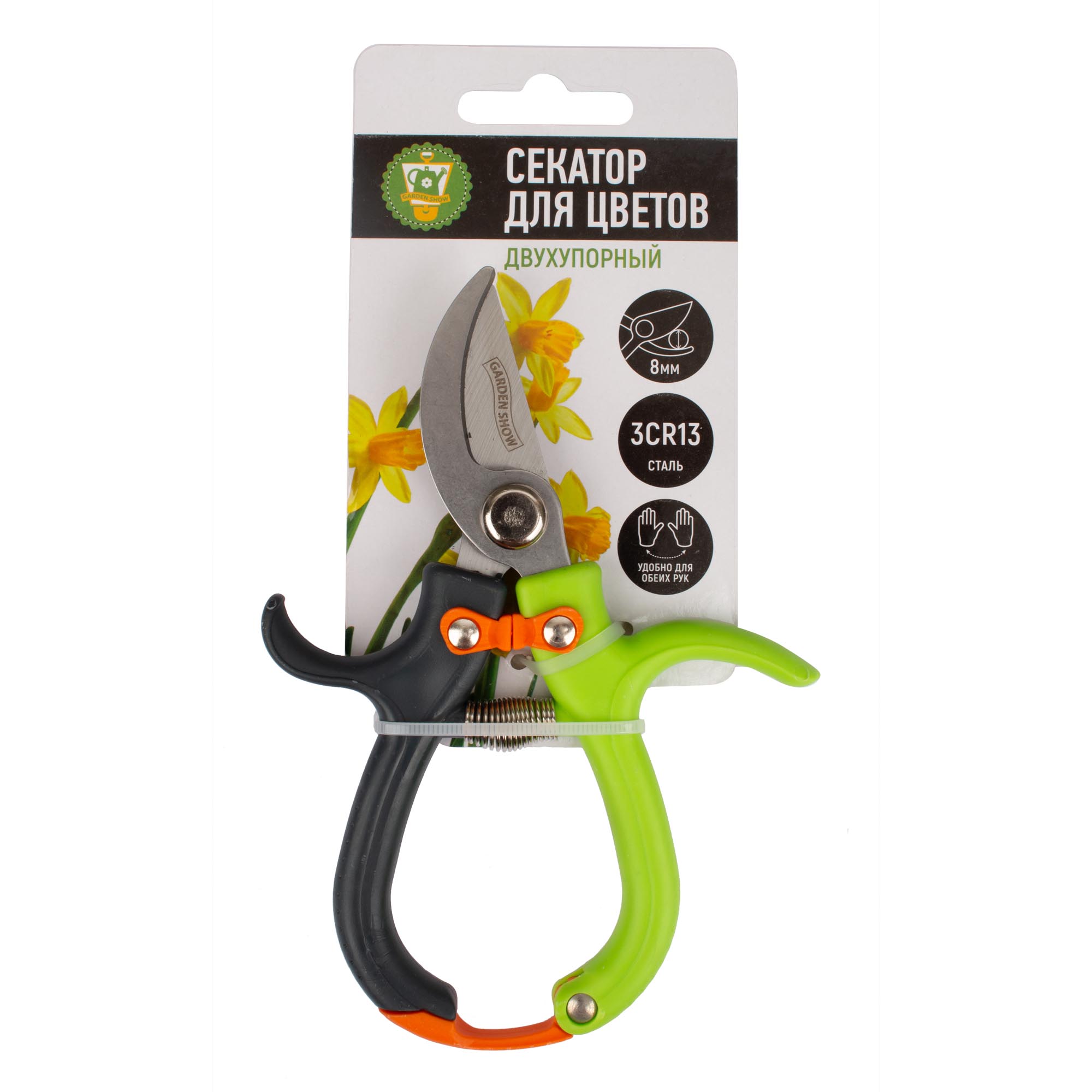 ОсновноеИзображение