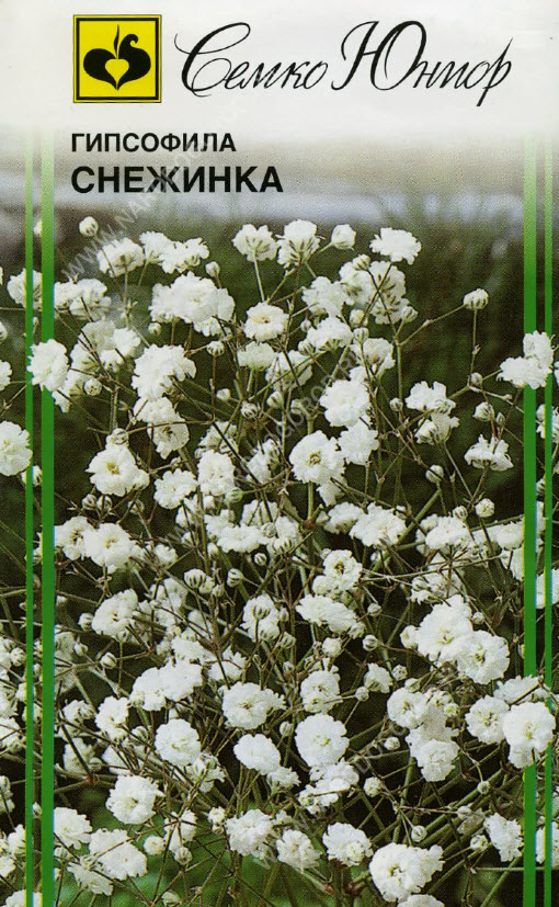 ОсновноеИзображение