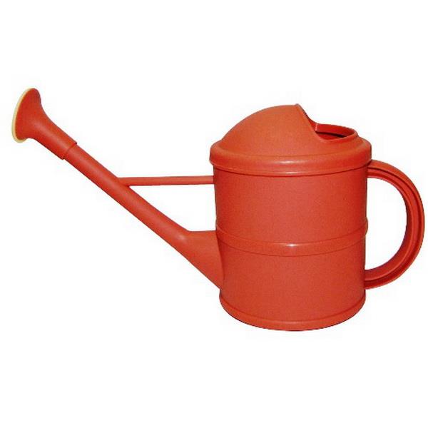 Основное изображение