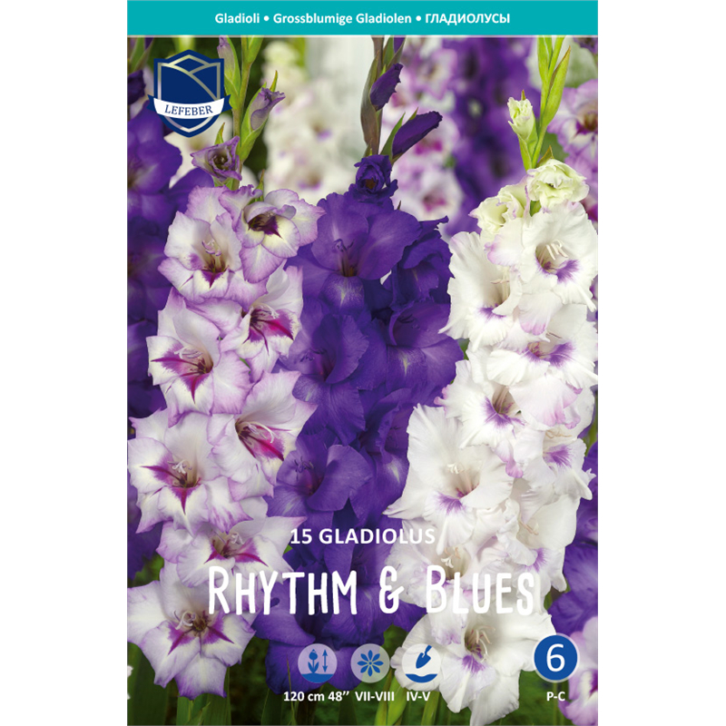 Луковица Гладиолус Ритм энд Блюз 14/16 15шт 