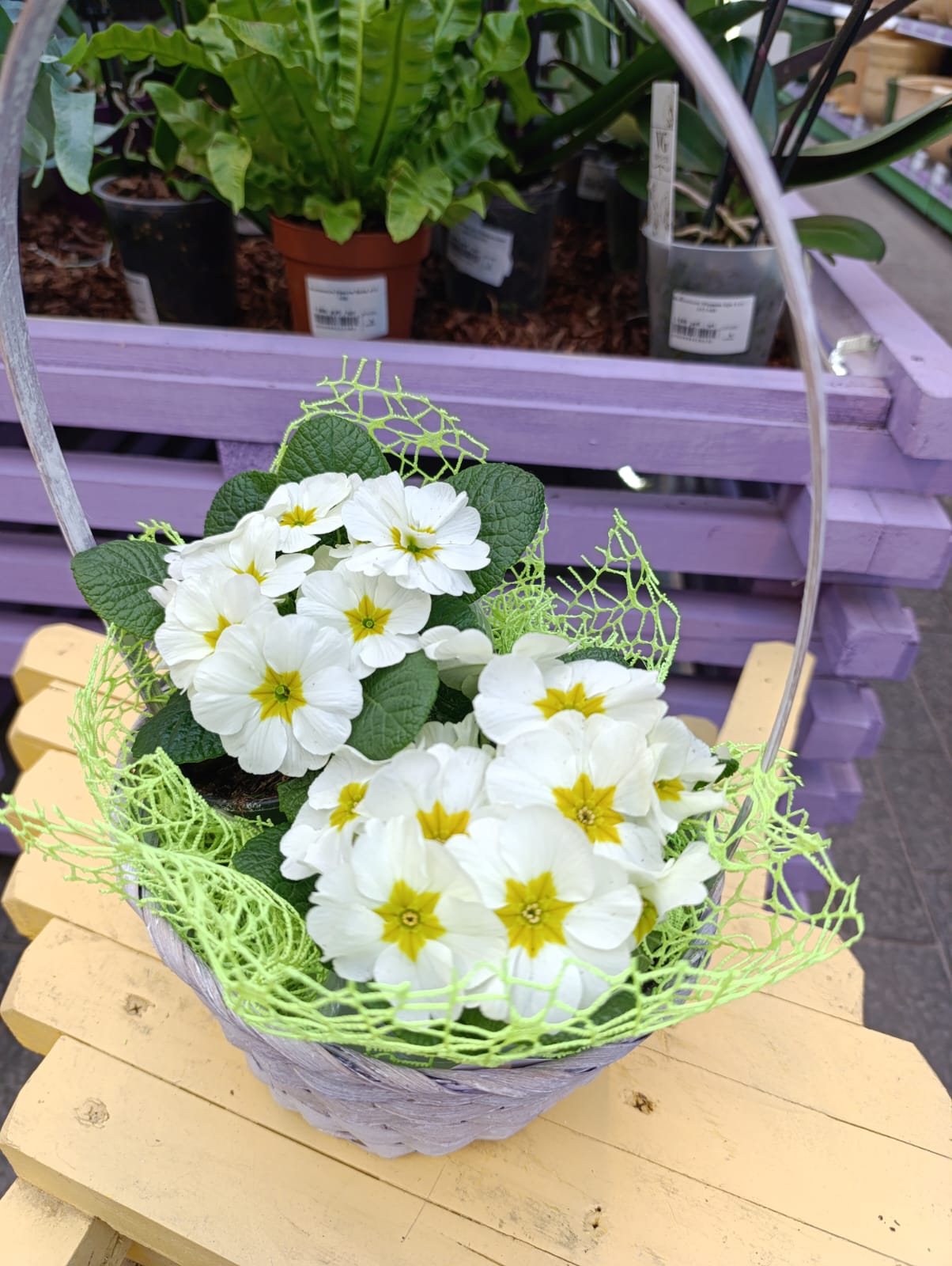 Композиция из цветов 1290 руб 