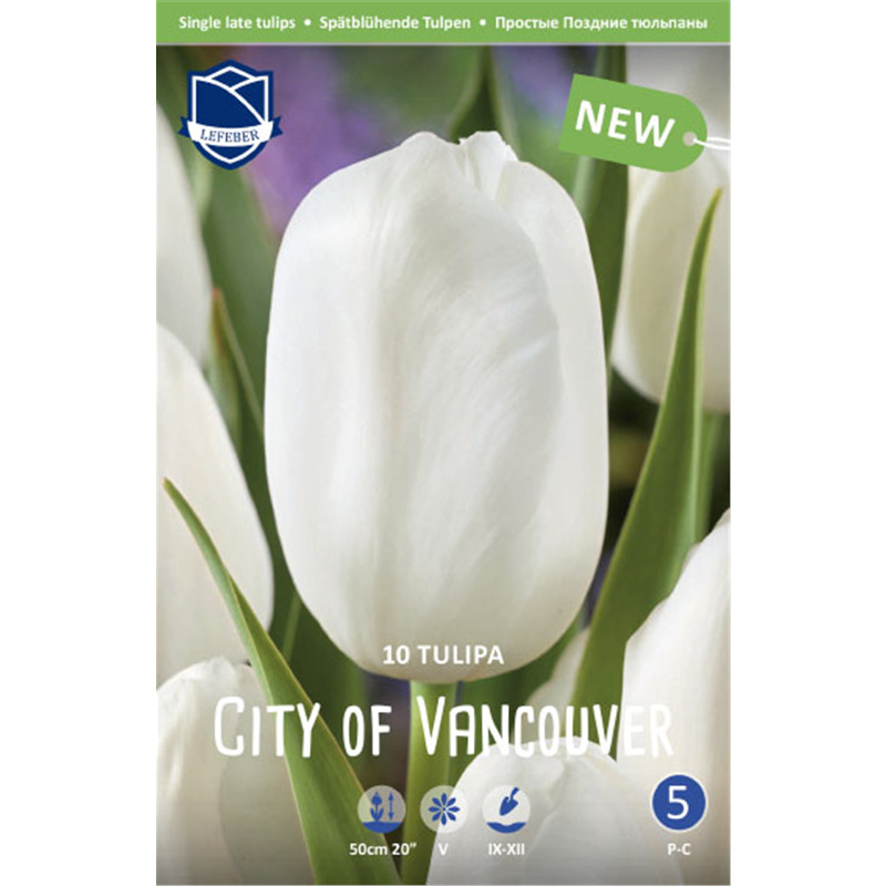 Луковица Тюльпан Сити оф Ванкувер 12/14, 10 шт/уп 