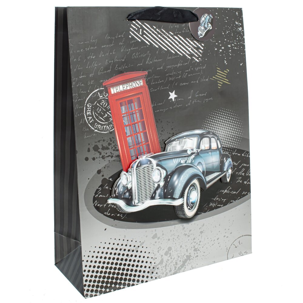 Пакет подарочный Автомобили в ассортименте 30х12х40см арт.782923 по цене 