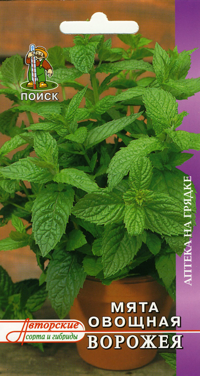 Основное изображение