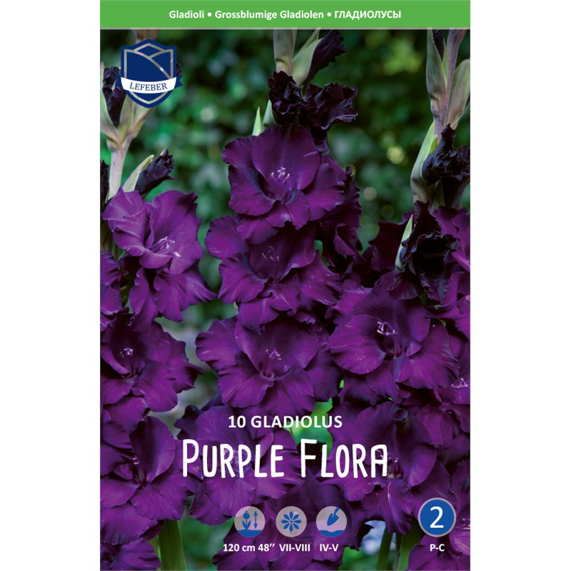 Луковица Гладиолус Пепл Флора 14/16 10шт 