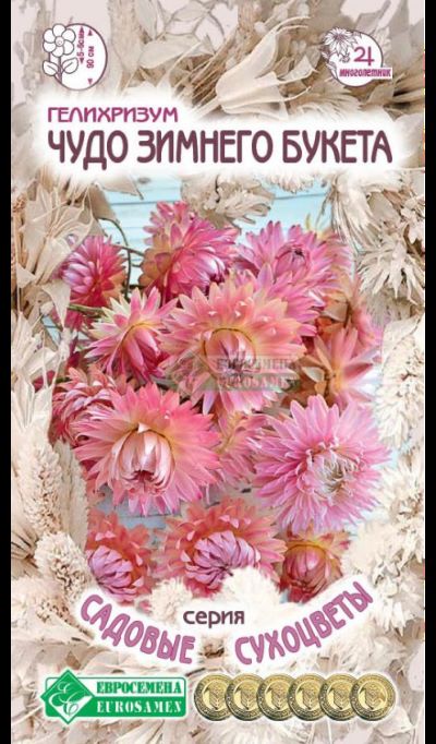Семена Гелихризум Чудо зимнего букета 0,1 гр Евросемена 