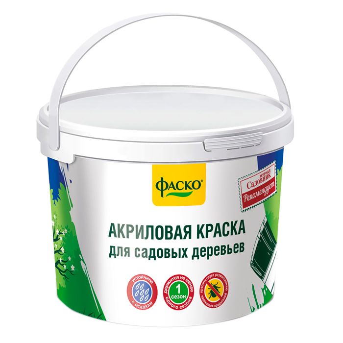 Основное изображение