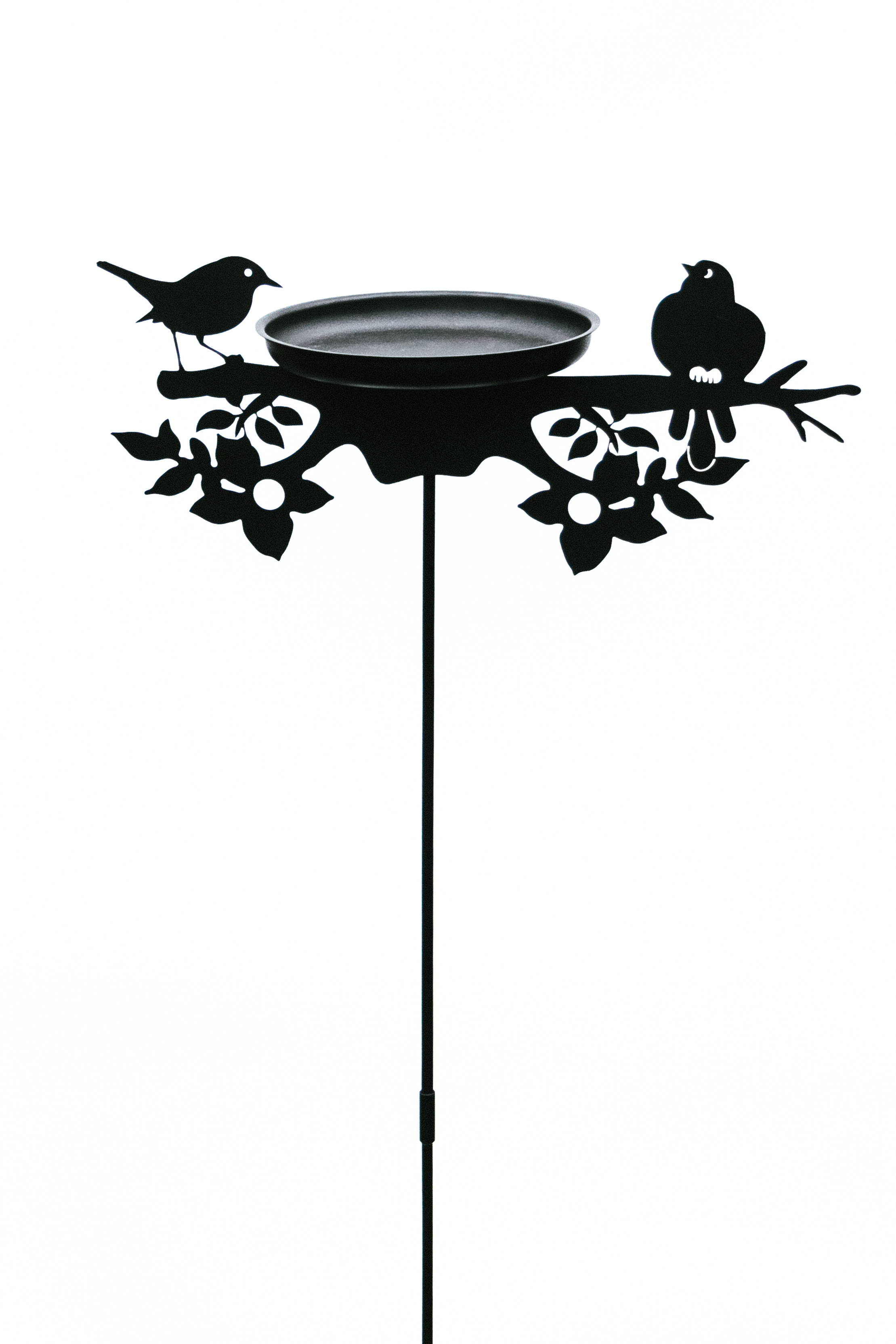 ОсновноеИзображение