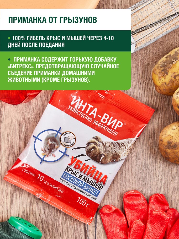 Изображение 4