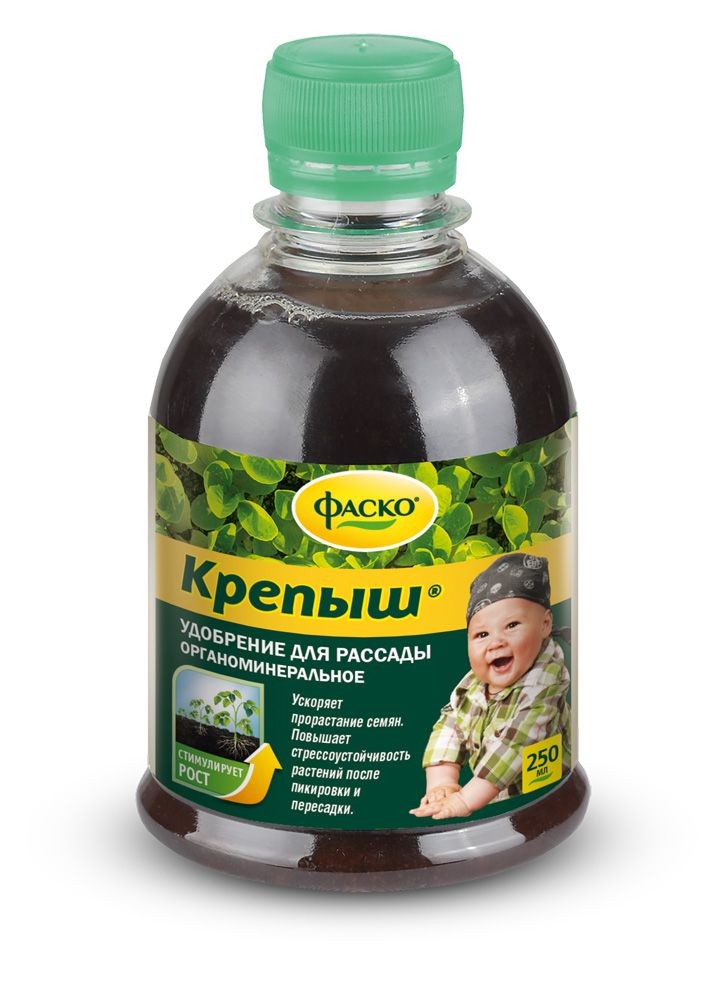 Основное изображение