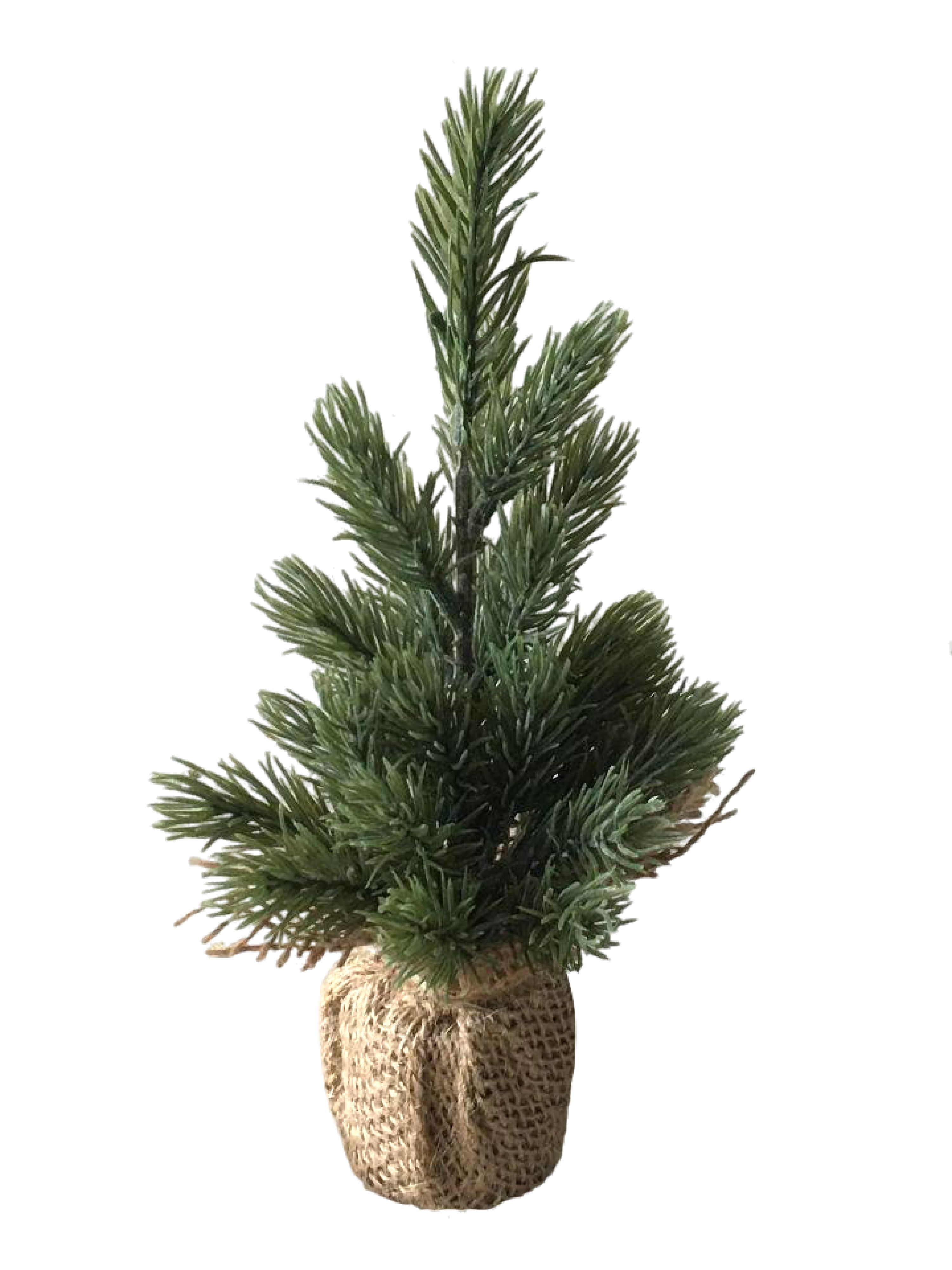 ОсновноеИзображение