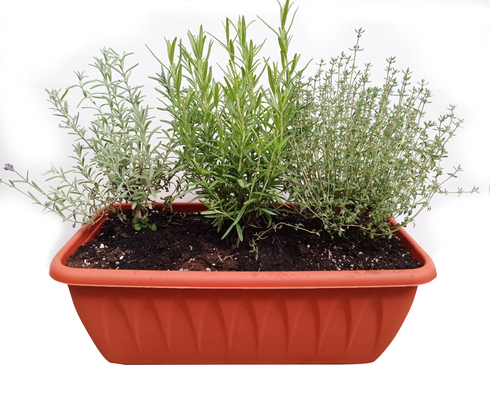 Набор пряных трав в ящичке Lav 