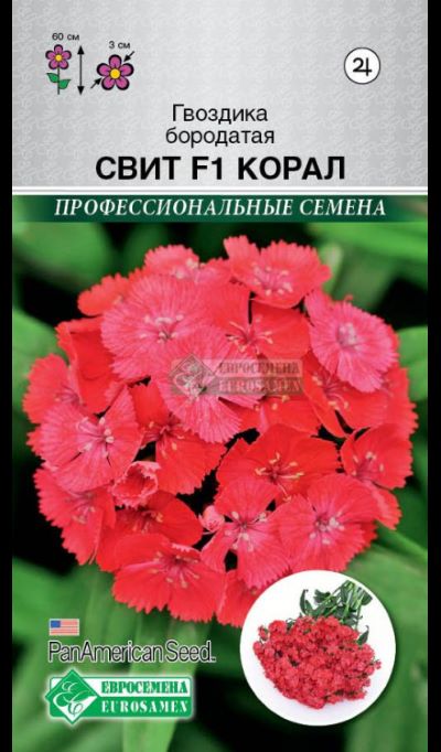 ОсновноеИзображение